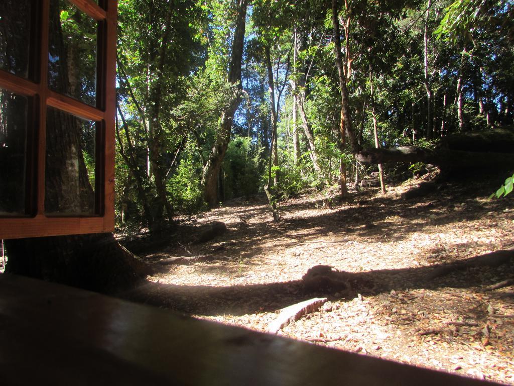 Cabana Rustica Patagonia Chilena Coñaripe Camera foto