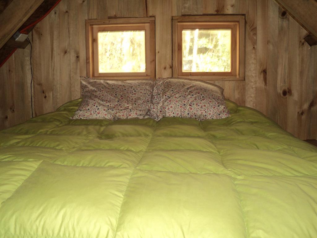 Cabana Rustica Patagonia Chilena Coñaripe Camera foto