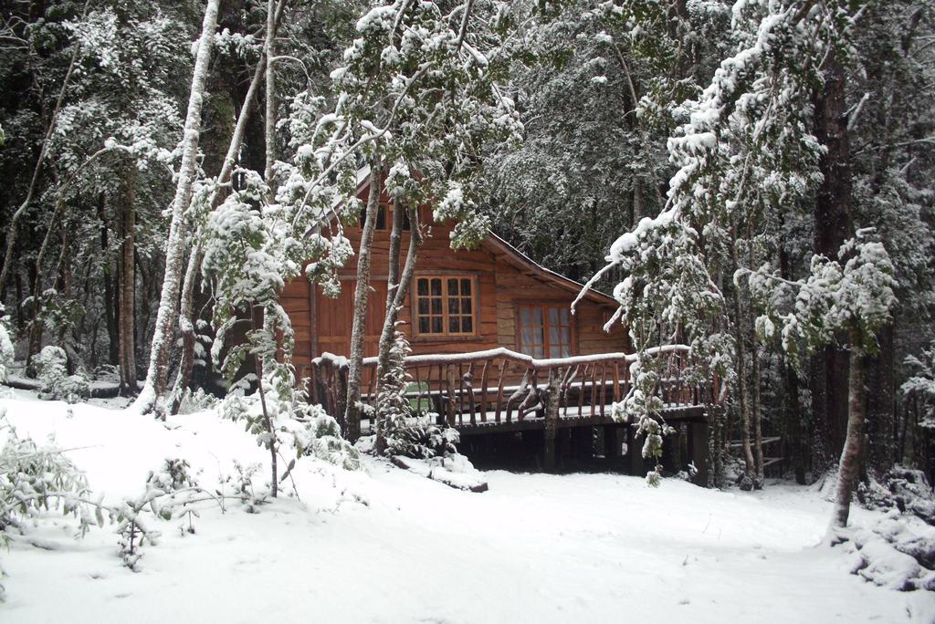Cabana Rustica Patagonia Chilena Coñaripe Camera foto