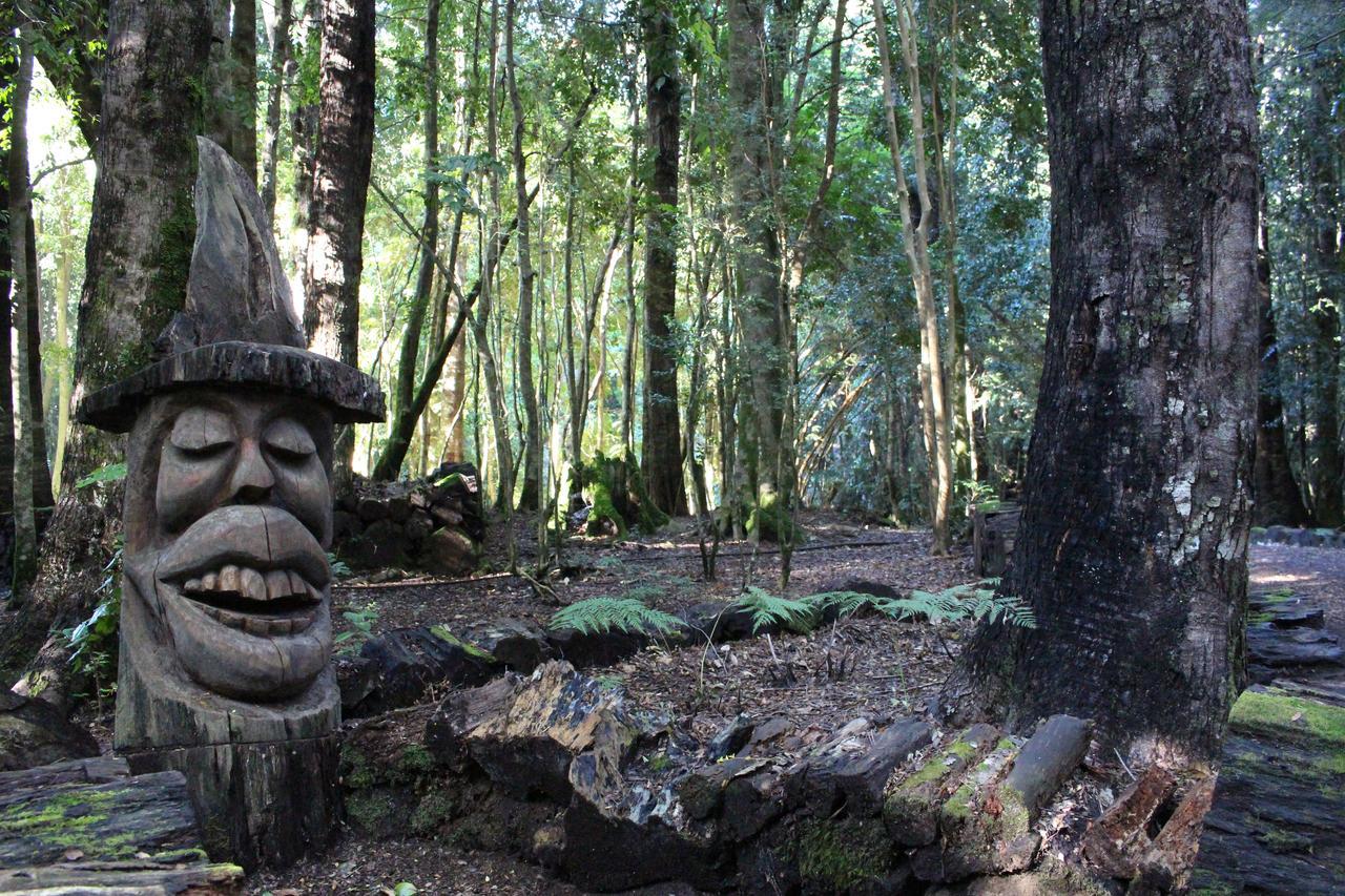 Cabana Rustica Patagonia Chilena Coñaripe Esterno foto