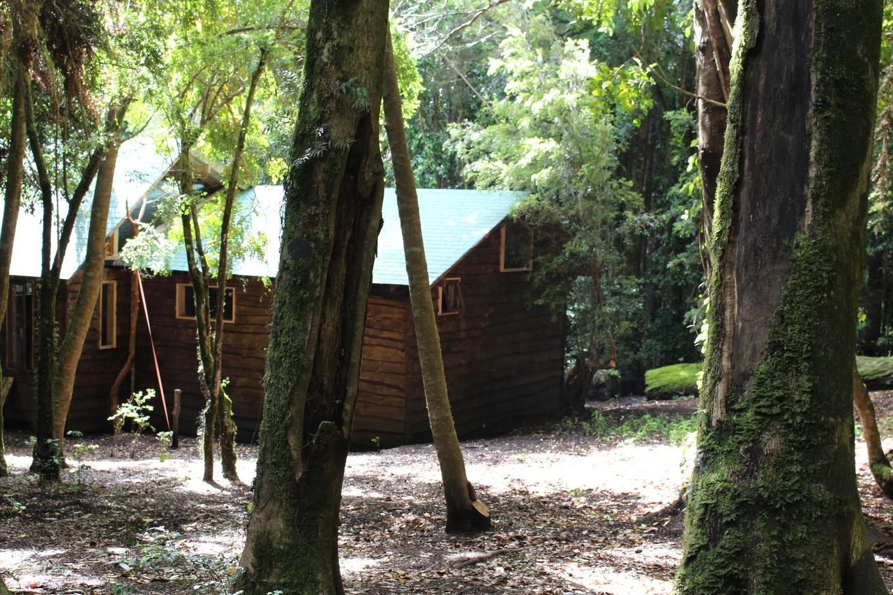 Cabana Rustica Patagonia Chilena Coñaripe Esterno foto